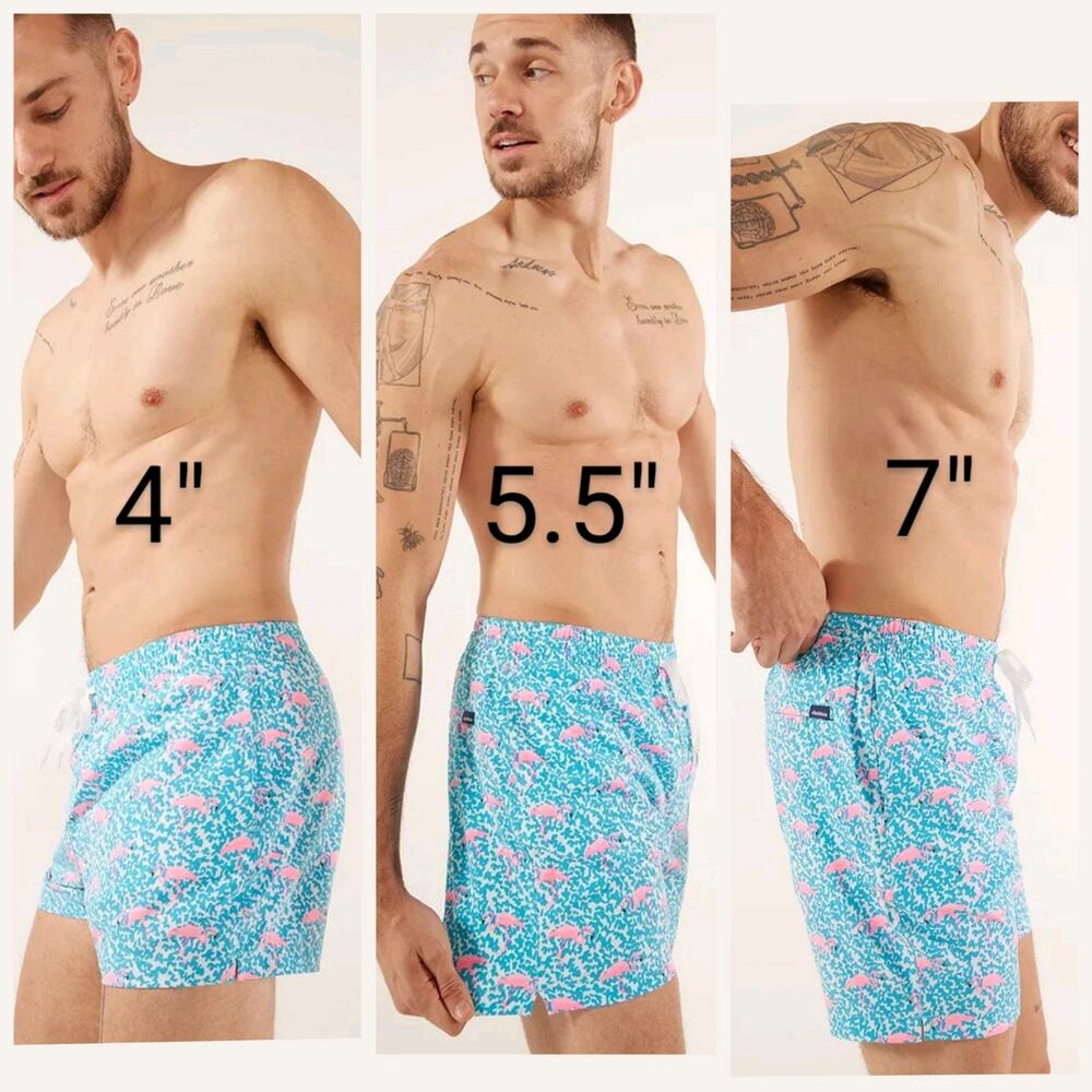 Chubbies Swim Trunks Mens Large 5.5 Inch Parrot Bloomerangs Mesh Brief Liner - Picture 12 of 13